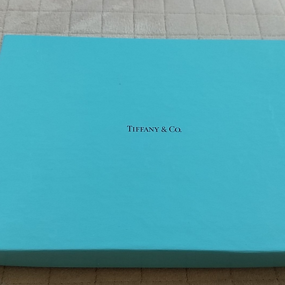 Tiffany Leather Millennium Journal